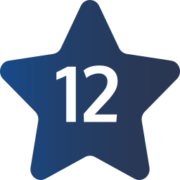 12 icon