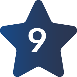 neun icon