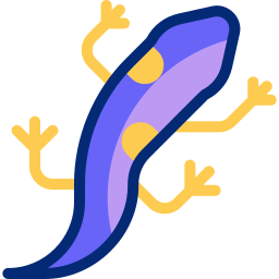 salamander icoon