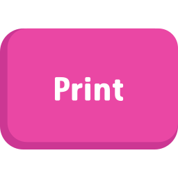 imprimir icono