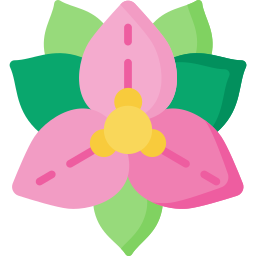 buganvilla icono