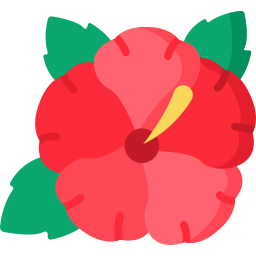 hibiskus icon