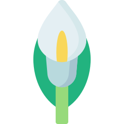 calla lily ikona