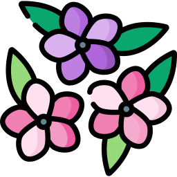 frangipani icono