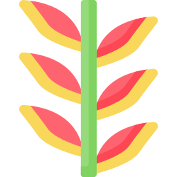 헬리코니아 icon