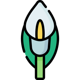 Calla lily icon