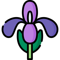 iris icona