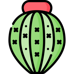 melocactus icono