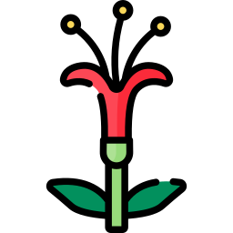 퀸트랄 icon