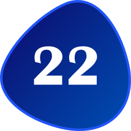 Number 22 icon