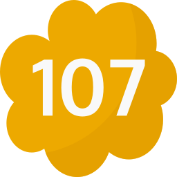 107 icona
