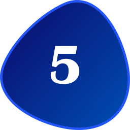 numéro 5 Icône