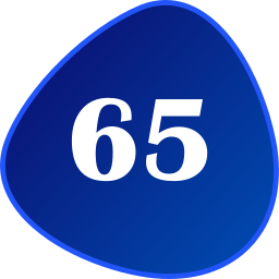 sesenta y cinco icono