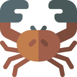 Stone crab icon