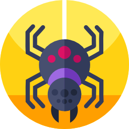 Spider icon