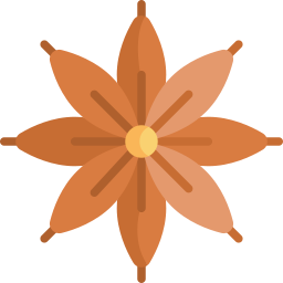 Star anise icon