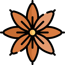 Star anise icon