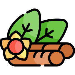 ashwagandha icono