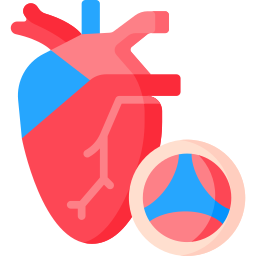 aorta ikona
