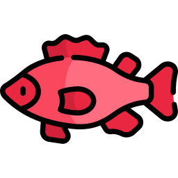 pesce rosso icona