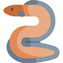 anguila icono