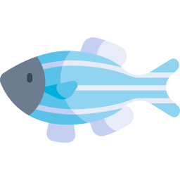 poisson zèbre Icône