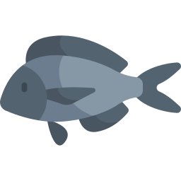 金頭鯛 icon
