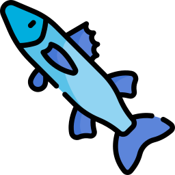 Barracuda icon