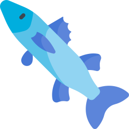 barracuda icoon
