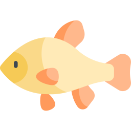 Tench icon