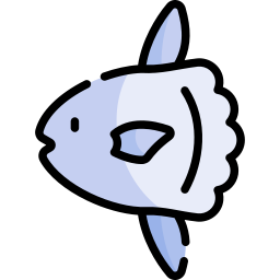 Ocean sunfish icon