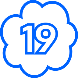 19 icon