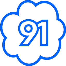 91 Ícone