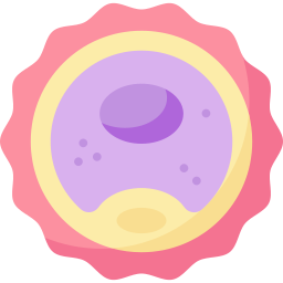 яйцеклетка иконка