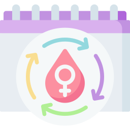 ciclo menstrual Ícone