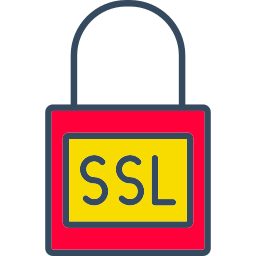 ssl icono