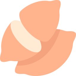 Sweet potato icon