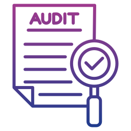 Audit icon