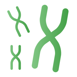 chromosome Icône