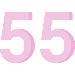 55 Ícone