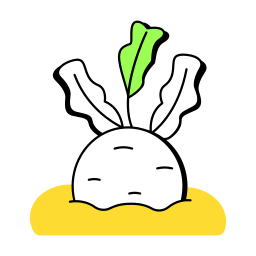 Radish icon