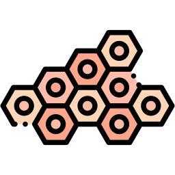 Skin cell icon