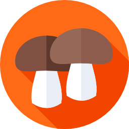 Mushrooms icon