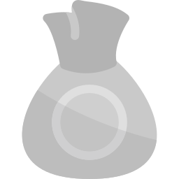 Money bag icon