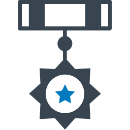 insignia de rango icono