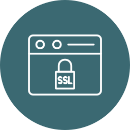 Ssl certificate icon