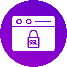 certificato ssl icona