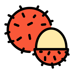 rambutan icon