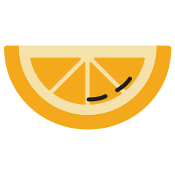 Orange slice icon