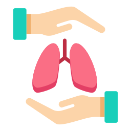 Дыхательная система иконка